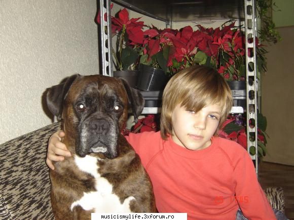 Pets - asa.. acu' sa va speriu eu a bit.. boxeru' meu - Photos